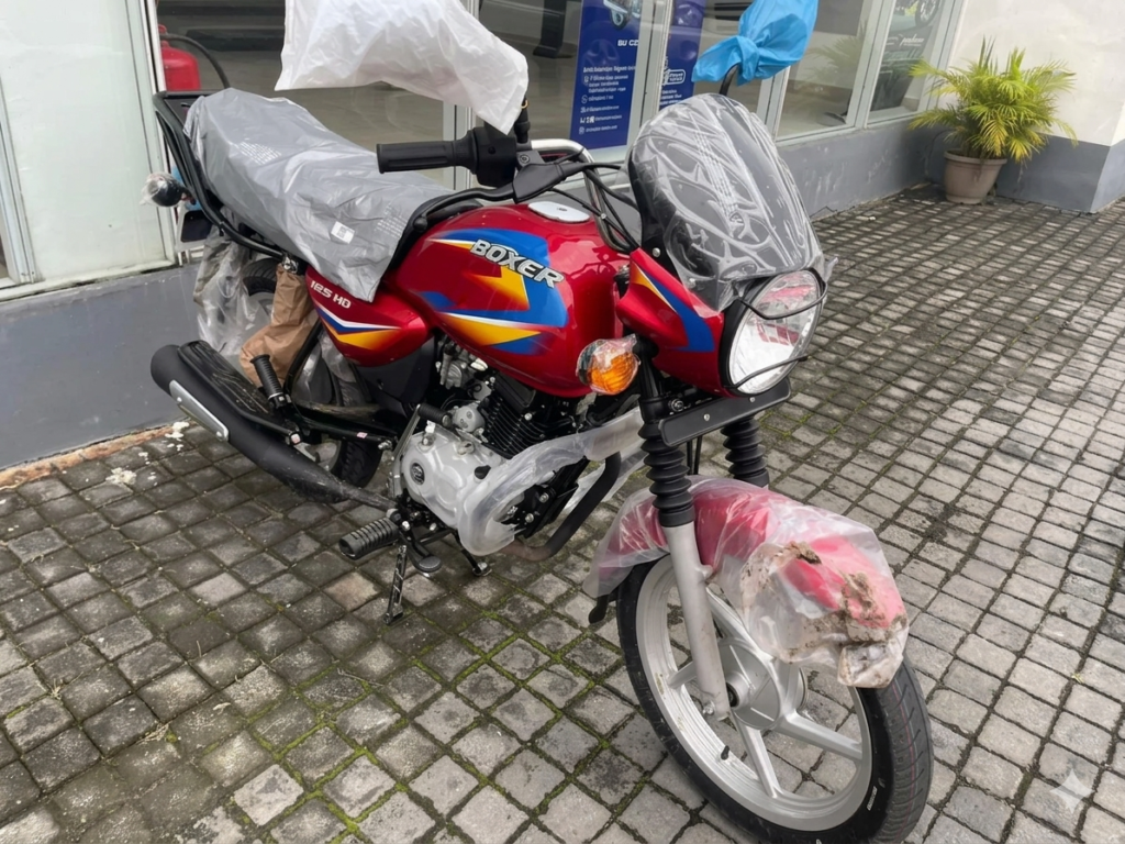 Gemini_Generated_Image_41x38341x38341x3